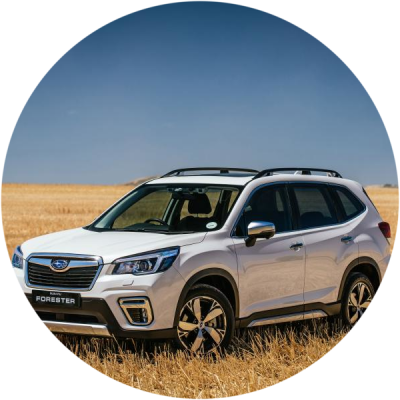 Отзывы на ремонт Ремонт, покраска, замена порогов автомобиля Subaru Forester